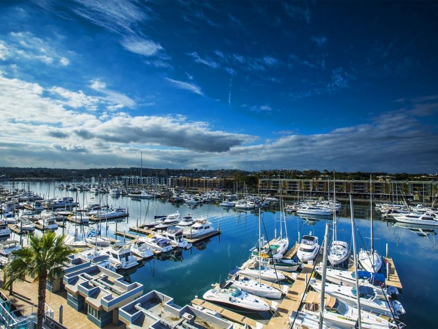 White motor yachts at a Southern California marina
