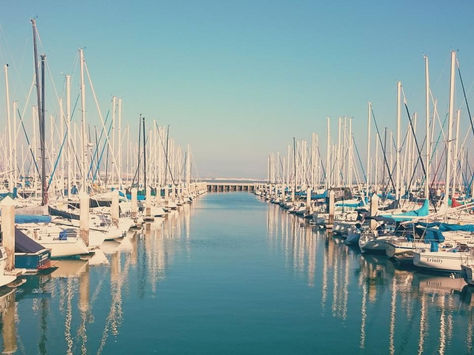 White motor yachts at a Southern California marina